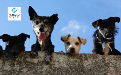 Ilustração representativa do Malina Casino