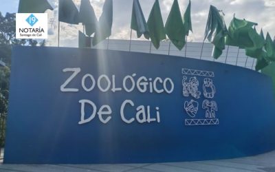Habrá entrada gratuita en el Zoológico de Cali para los niños; fecha y requisitos del beneficio