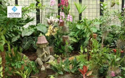 ‘Floreció un sueño’: Jardín Botánico abre Pabellón de Orquídeas